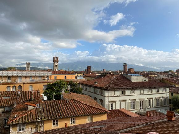 Rooftop view