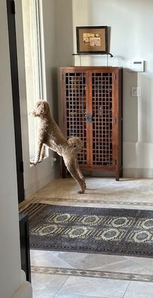 Keeping the neighborhood safe!