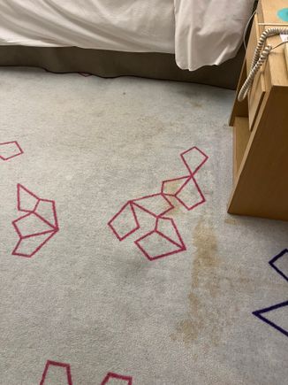Gross stains across the carpet, the walls and chair 🤮