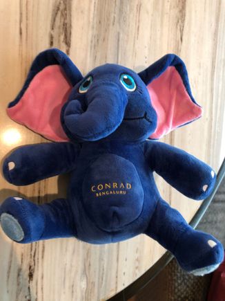 Conrad Bengaluru Elephant