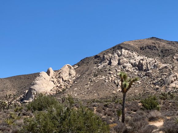 Mt Ryan. 