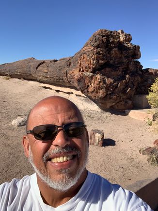 Selfie with huge petrified tree trunk. These guys are over 30,000 years old