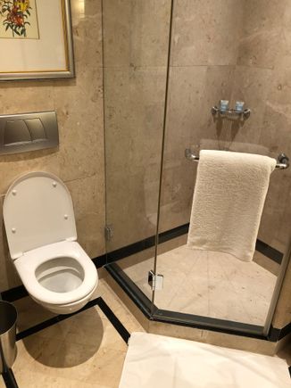 master bathroom 2....