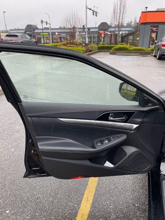 Door Panel (Driver) 