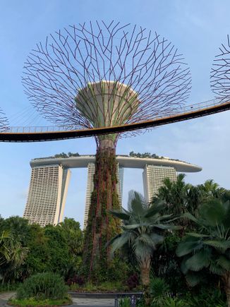Gardens By The Bay Supertree
