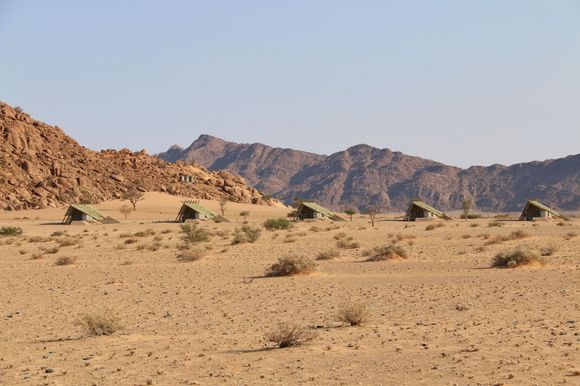 Desert Quiver Camp