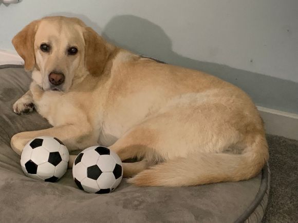 but he wasn’t at all interested in today’s Club World Cup match