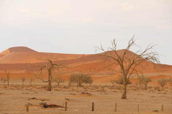 The "2x2 car park" just before the last 5km to Sossusvlei
