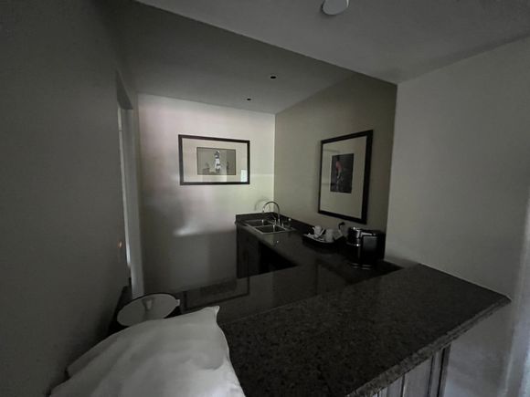 Suite: living room wet bar