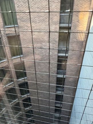 View from the room