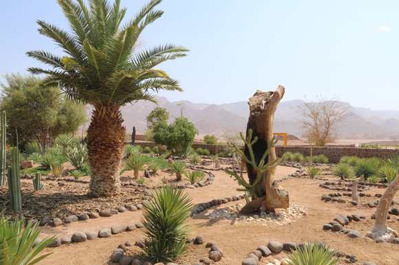 Garden at Brandberg White Lady Lodge