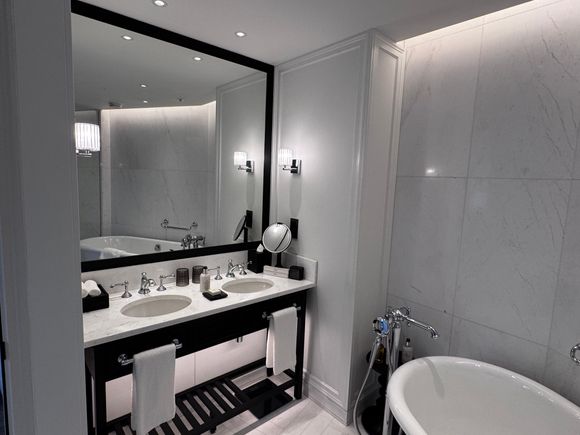 Park River View suite: Double vanity
