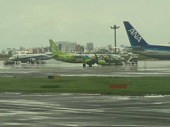 Solaseed 737 with the Pokemon Exeggutor featured on it