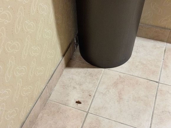Condition of the common areas.