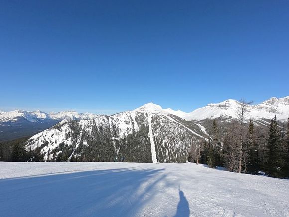 Larch Area of Ski Area