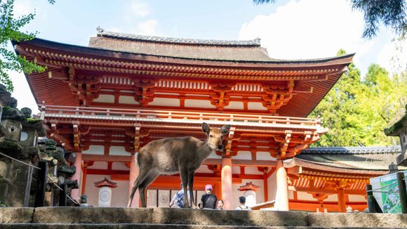 Nara