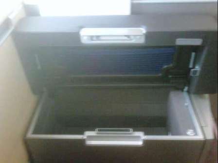 IMG00350 20100611 1338