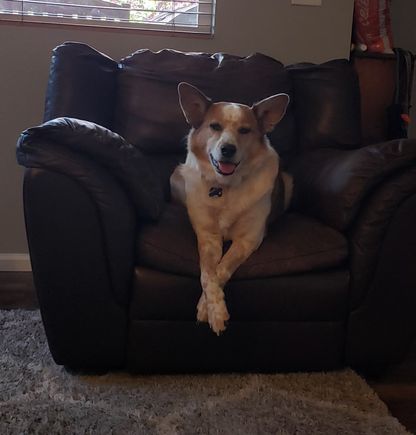 Ranger smiling