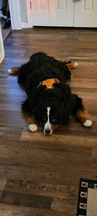 Seamus