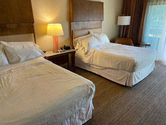 Disheveled Beds 