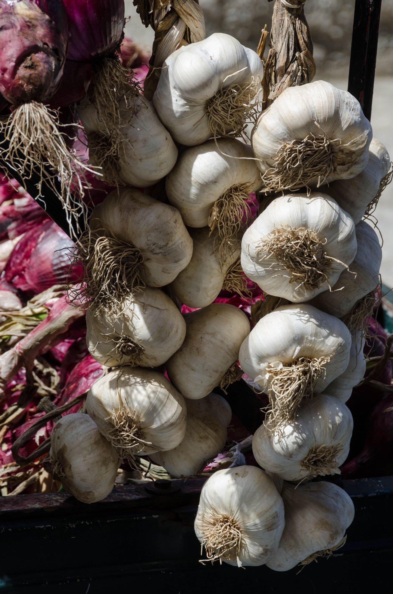 Show me someone who claims that garlic has no health benefits and Ill show you both the door. I included some in the recipe for what turned out to be the best meal that Ive made for my wife Mrs Z in years: Pasta Tono di Lamarcia. I created it for her mid-week.