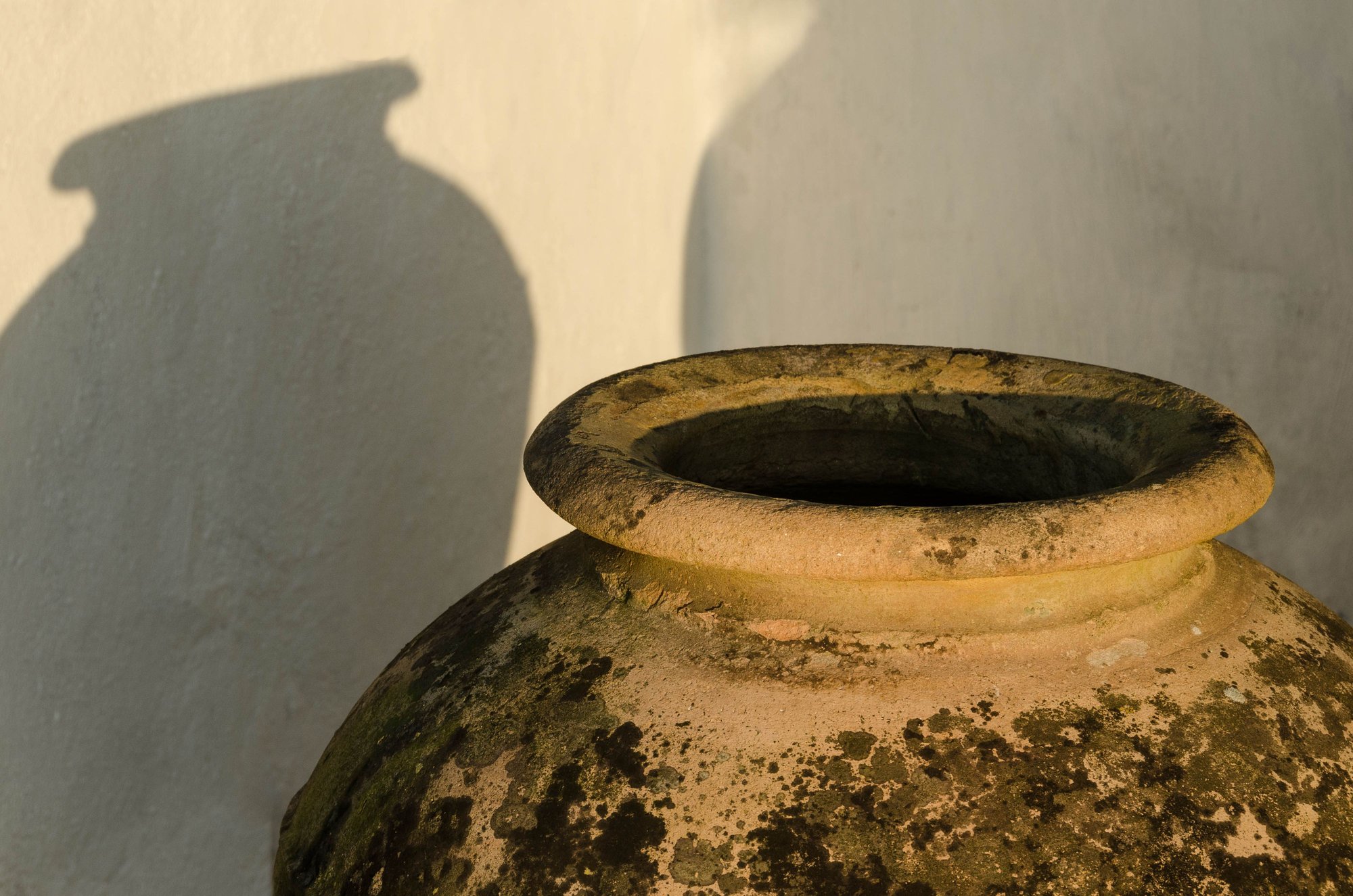 shots from our rental. And food. And continued Tropea in the next installment.