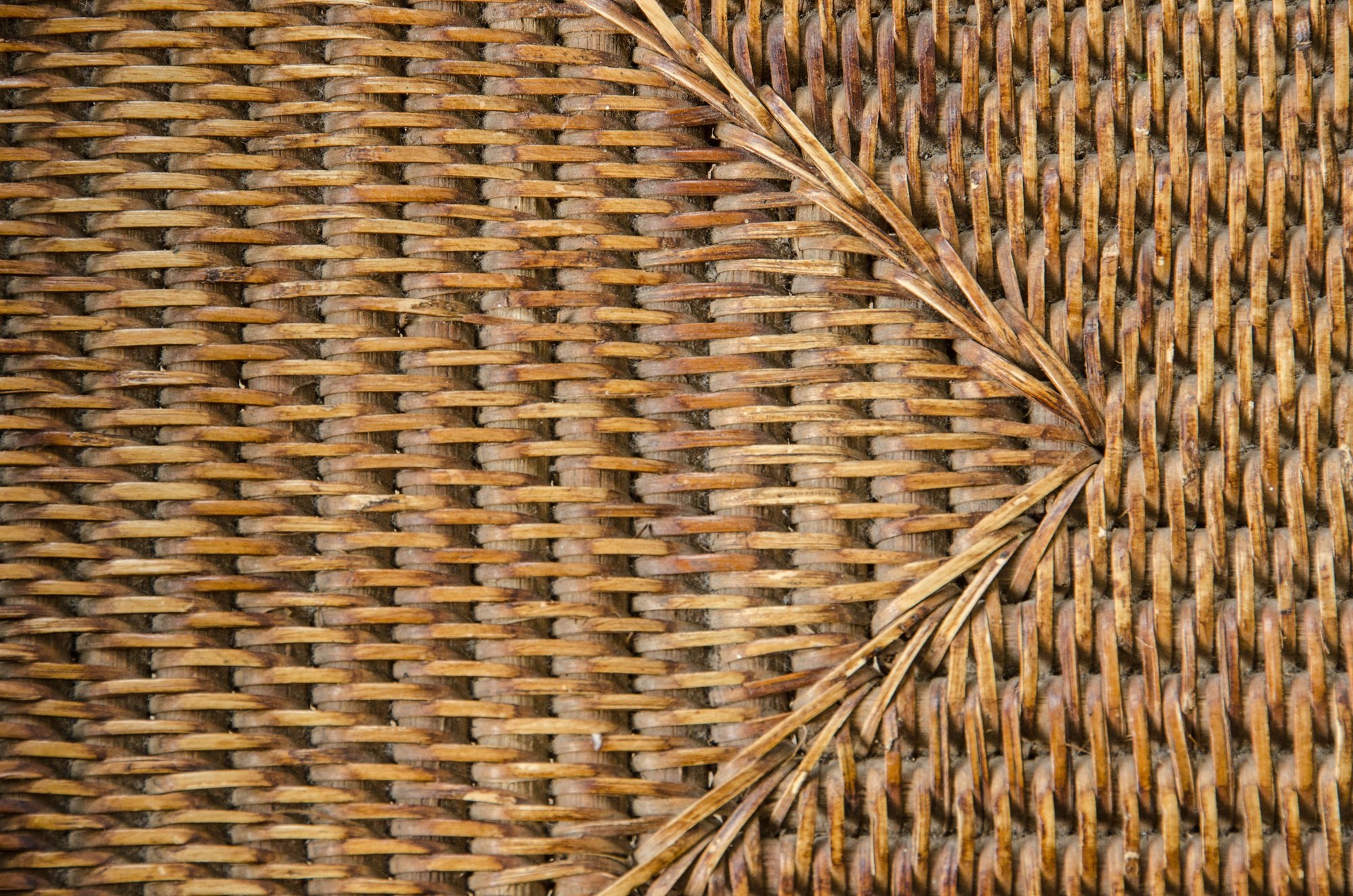 'Diamo 'diamo 'diamo, lets go to the villa!