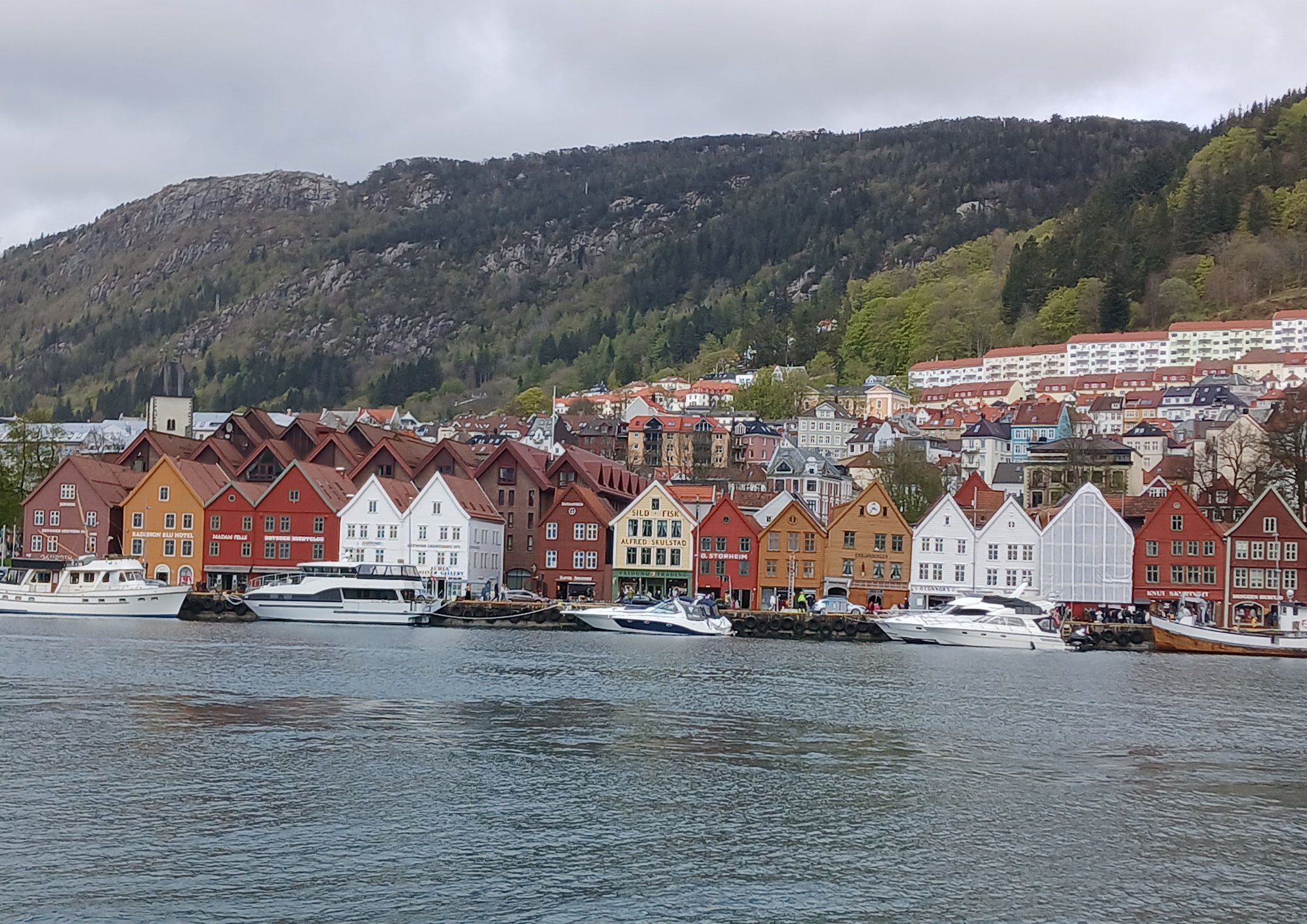 Bryggen, viewed from across the harbour