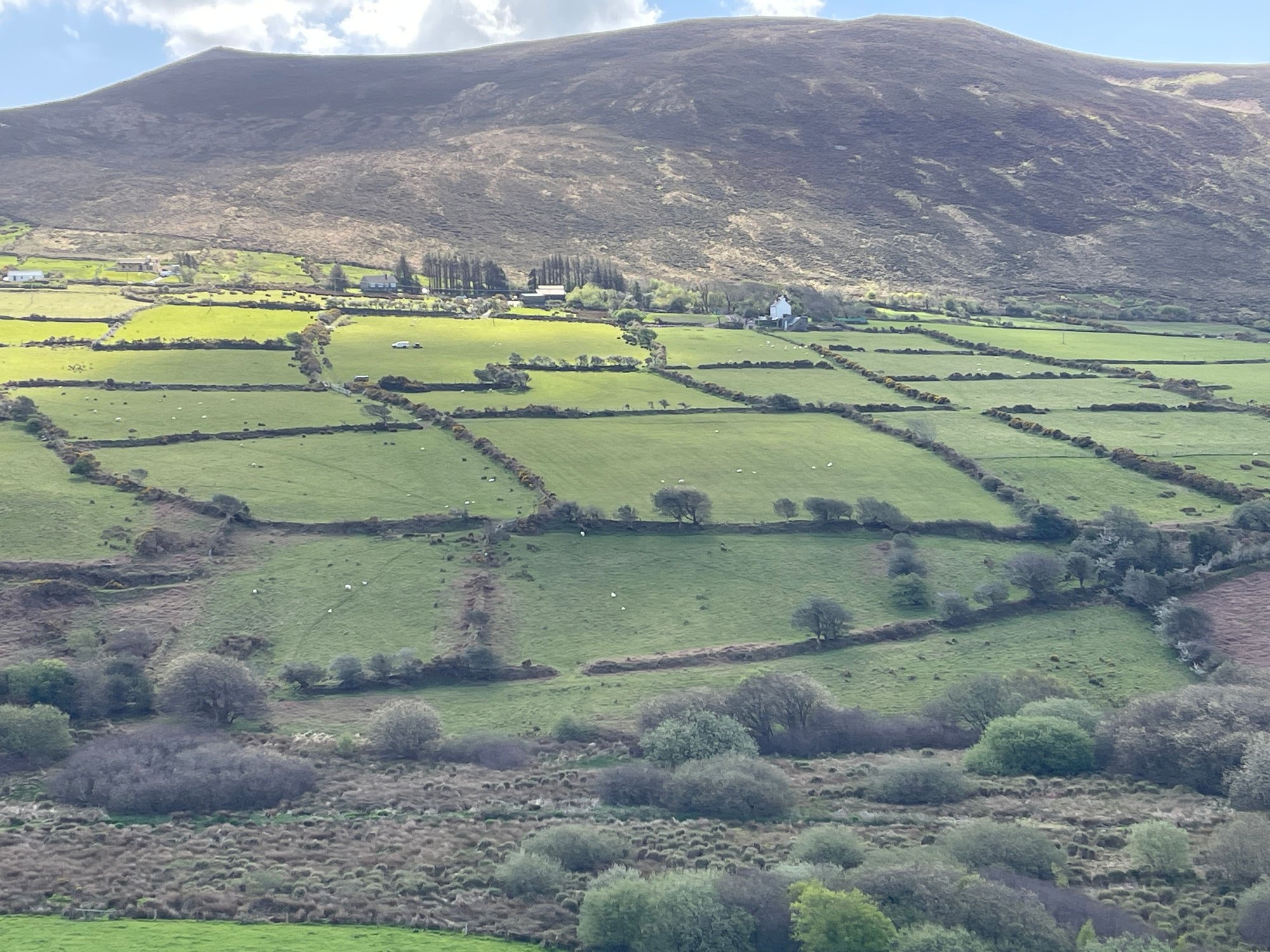 Beautiful patchwork fields