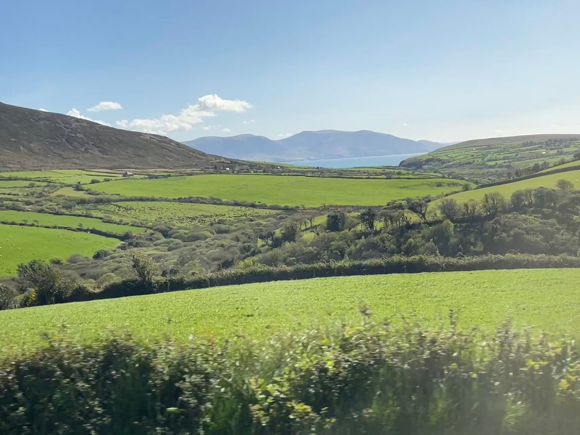 Rolling patchwork fields