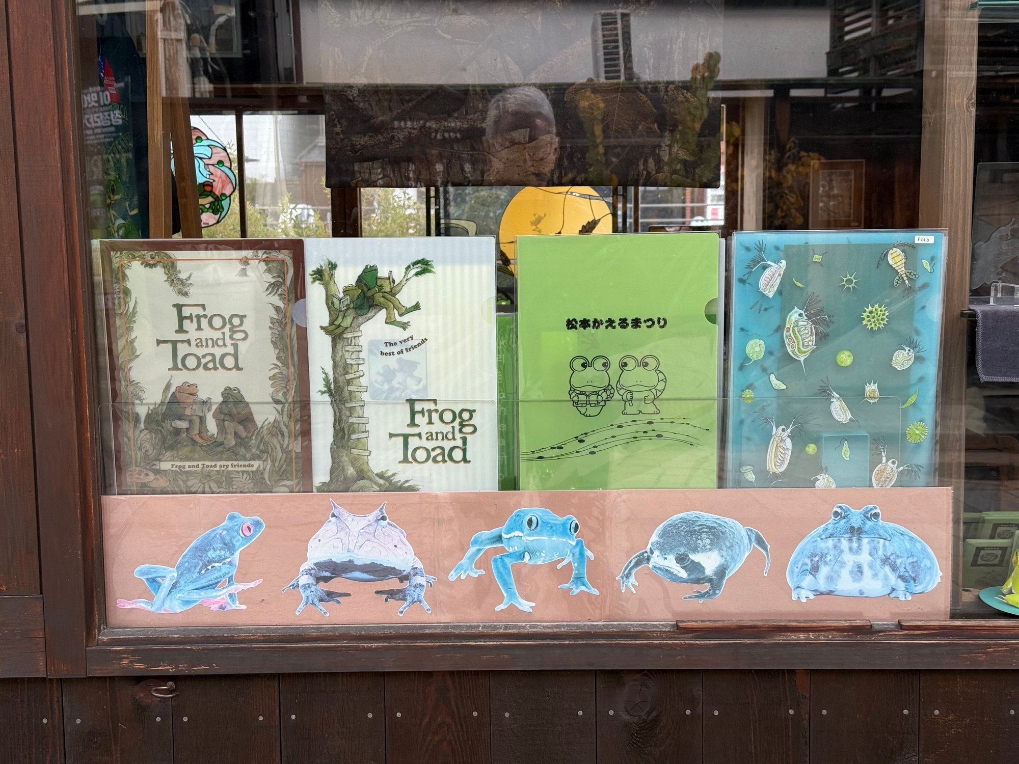 favorite childhood books in the window of a shop on Frog Street