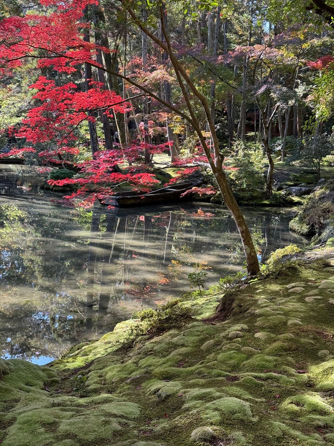 one of the many gorgeous views at Saiho-ji
