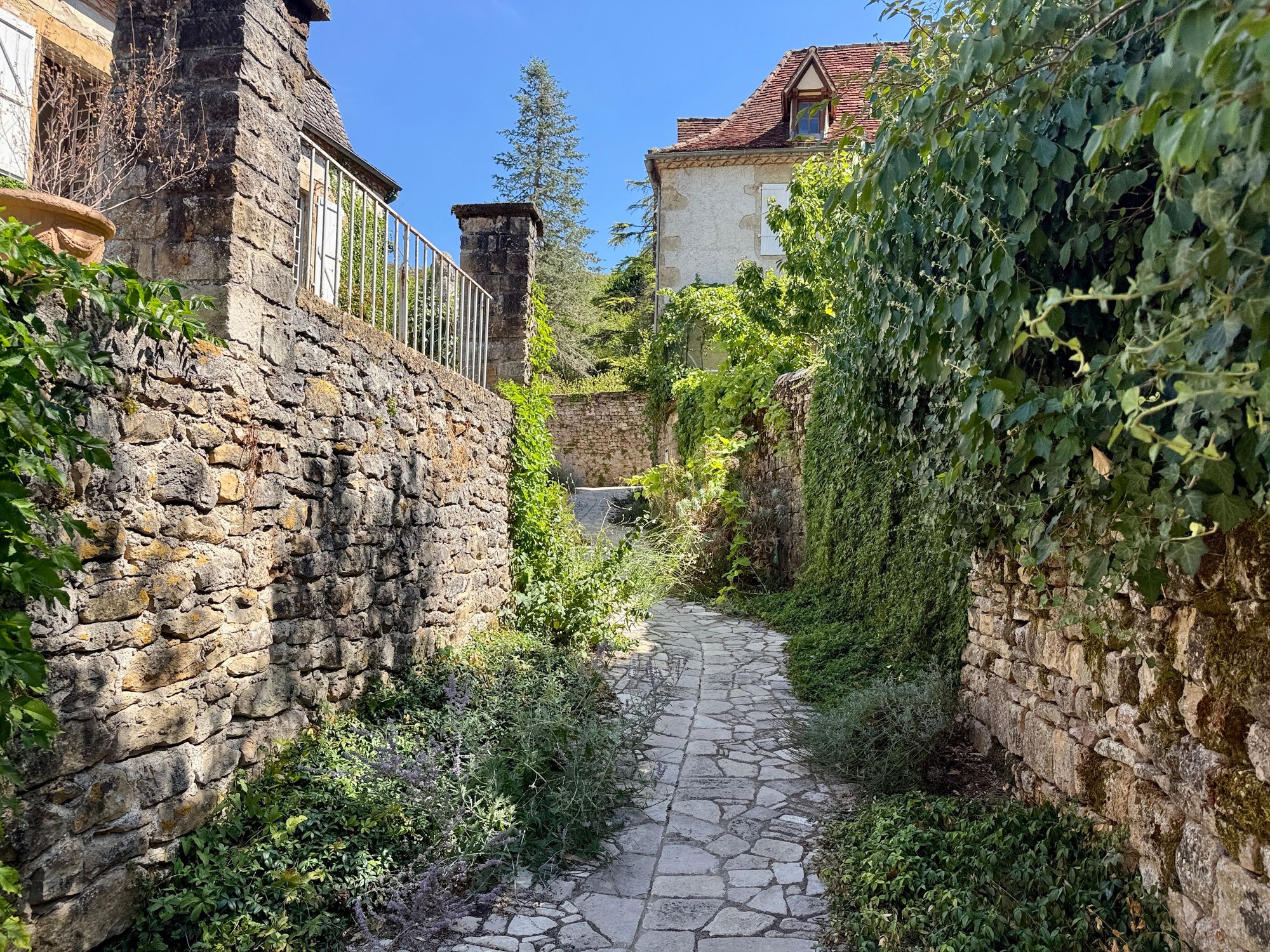 Exploring the streets