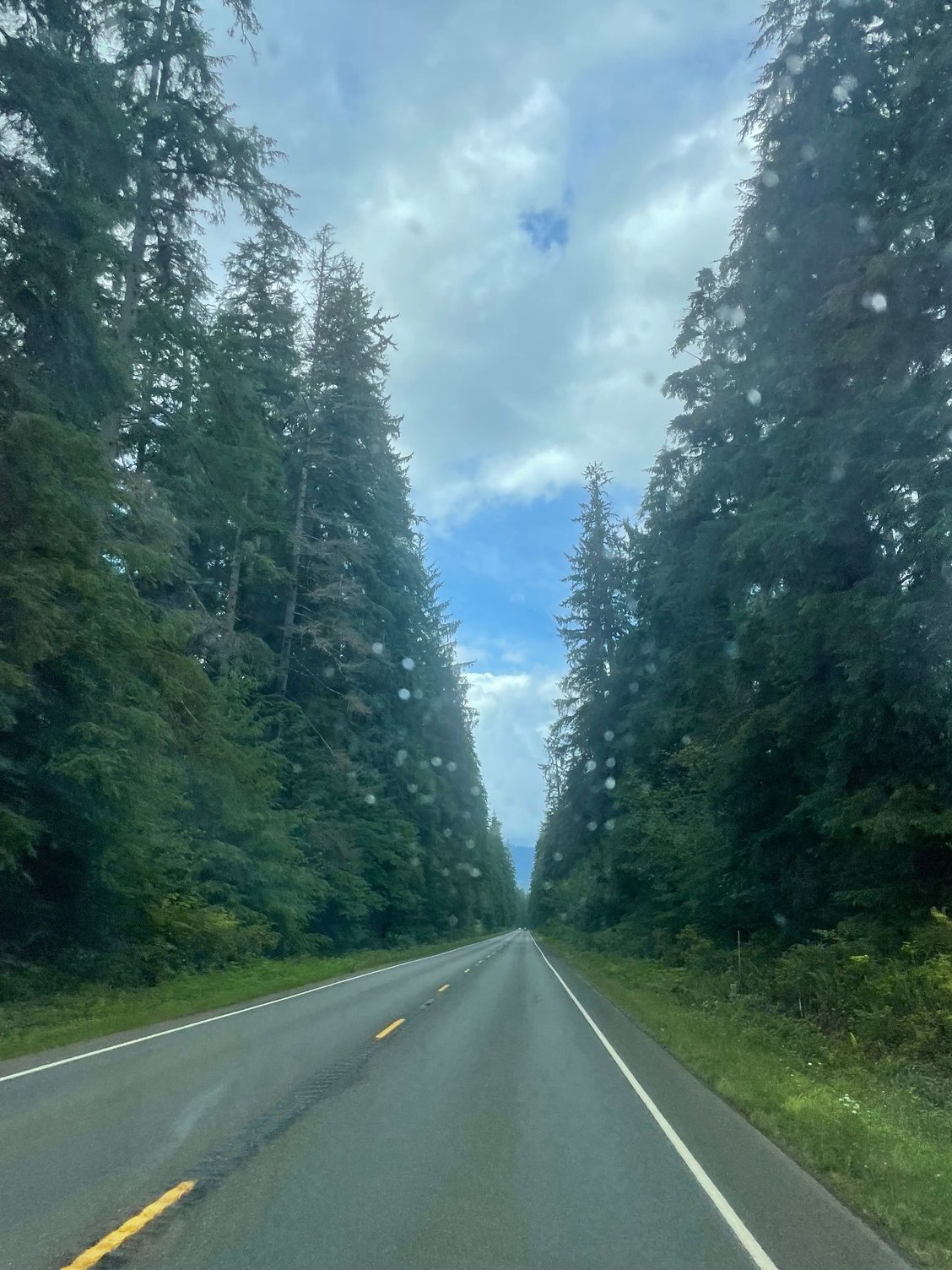 Hwy 101 on the way to Lake Quinault