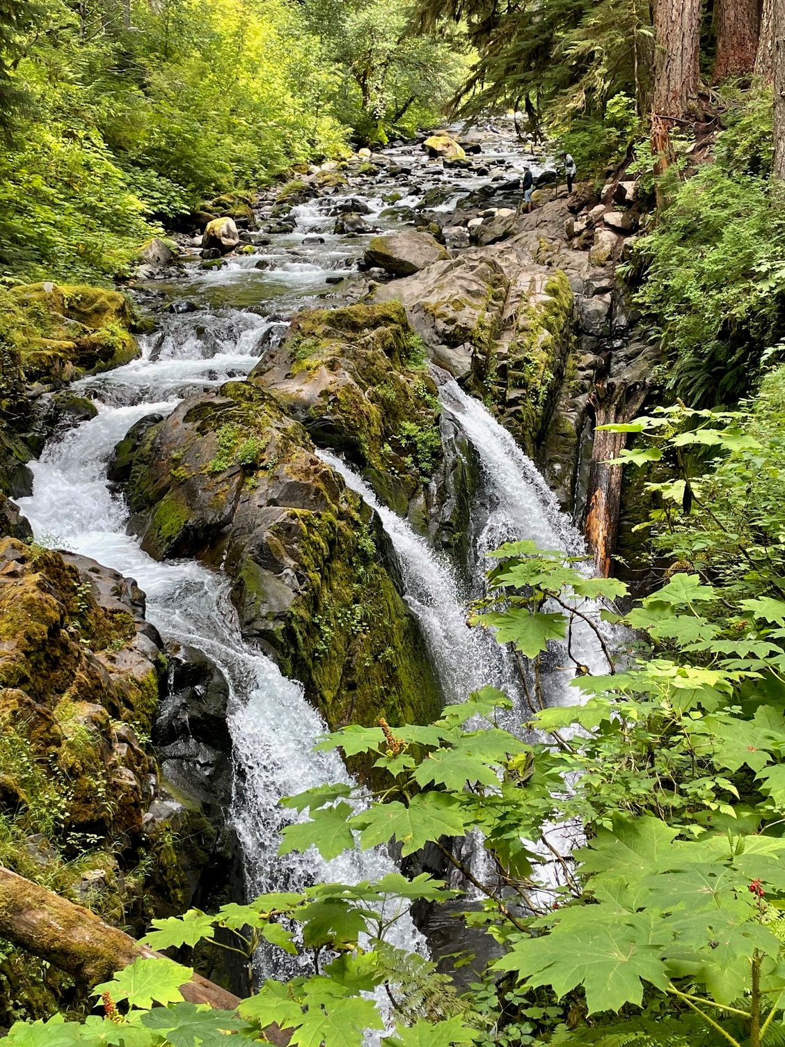Sol Duc Falls