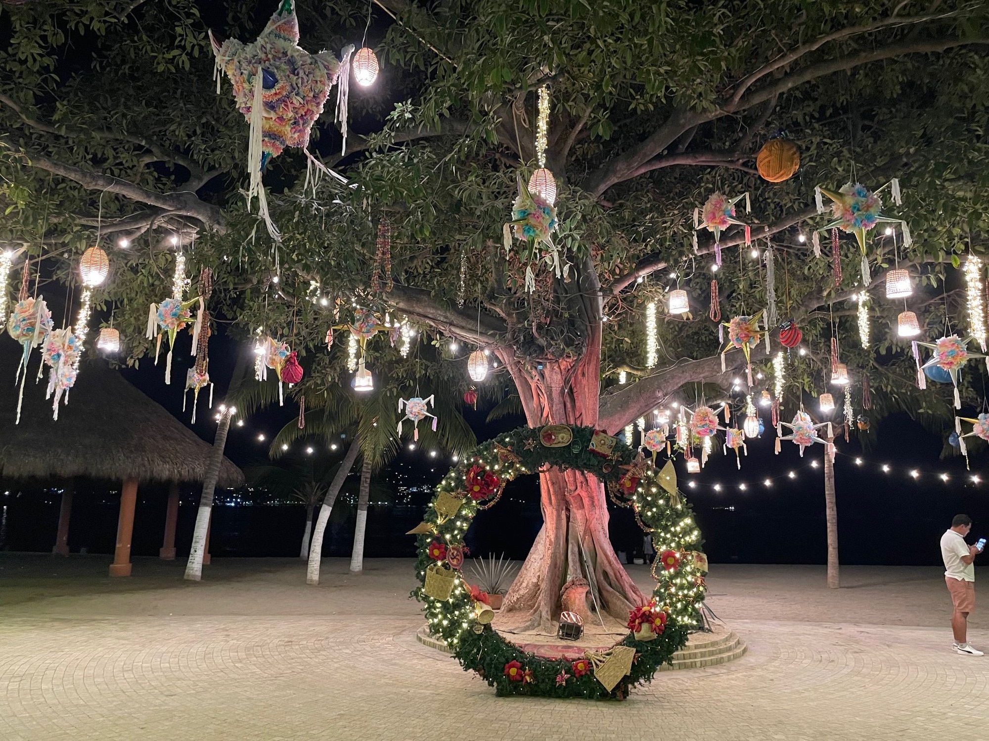 A giant tree on the Malecon, I'm snapping this picture after dragging my way home from the bar, but earlier there was a big line of people waiting to take their picture in the wreath