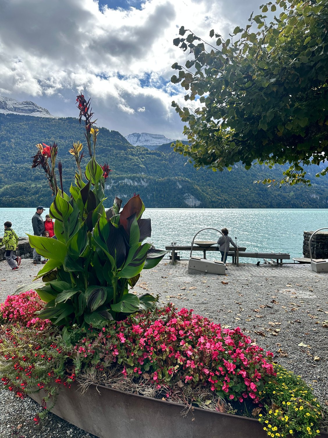 Lake Brienz