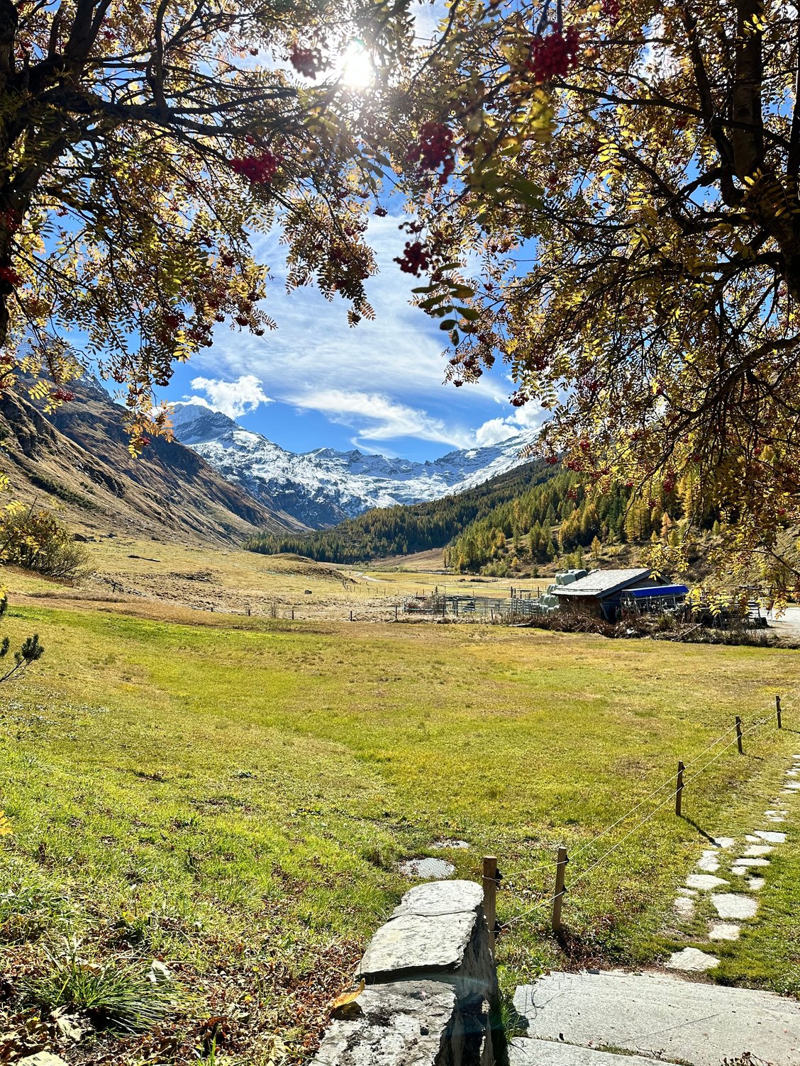 View of the Val Fex valley from Hotel Fex