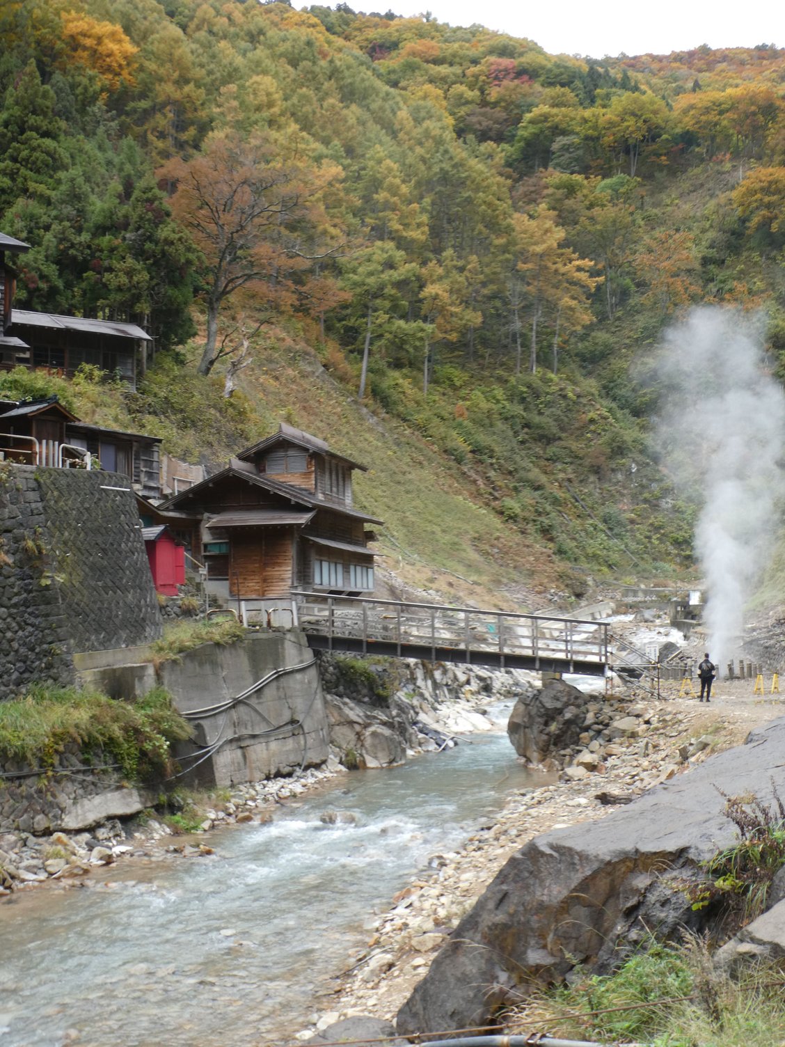 getting close to the Snow Monkey Park entrance, the geothermal activity really picks us