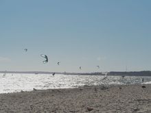 Lots of them over the water on Cape Cod.