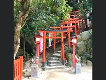 Torri gates up the hillside