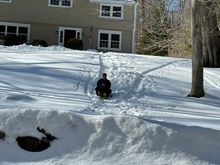 A bit of joy from my walk...