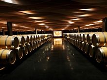 Wine cellar
