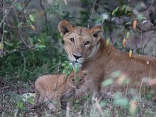 keep moving. nothing to see here.