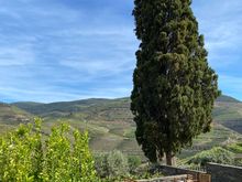 Morning view from the room