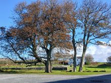 The farm near Lagavulin