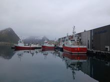 Views from the bridge - the larger fishig vessels and warehouses