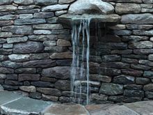 The fountain in their back yard. 