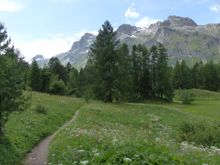 Serenity, beauty, fresh air