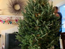 Found our motivation; must have been the gingerbread waffles. 